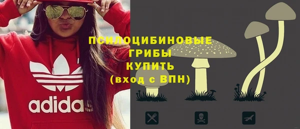 дурь Дмитровск