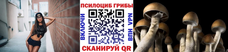Купить где  Первомайск  Псилоцибиновые грибы MAGIC MUSHROOMS 