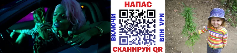 Купить где  Первомайск  Бошки марихуана конопля 